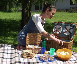 Was ist Fingerfood - ideal fürs picknick
