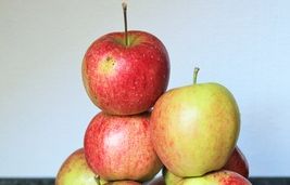 Knusper-Äpfel