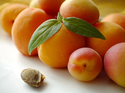 Aprikosen Rezept vegetarisch