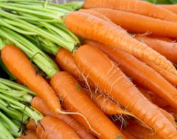 Karotten Puffer vegetarisch 