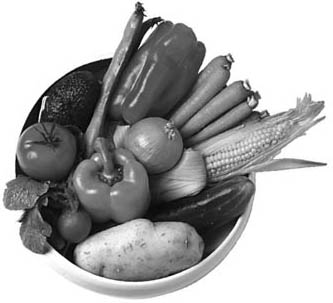 Phytoöstrogene - östrogenhaltige Lebensmittel - Phytoöstrogene in Lebensmittel -  - Hormone in der Ernährung - Östrogen in Nahrungsmitteln - Vorkommen Phytoöstrogene -  Weibliche Hormone - Wechseljahre - Phytoöstrogene und Brustkrebs