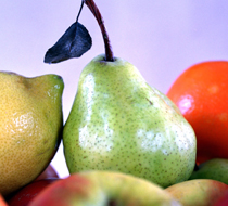 Von klein auf Vollwert-Ernährung - Gemüsebrei - Gewürze - Vollwertbrei - Vollwert Babybrei - Säuglingsernährung - Vollwerternährung