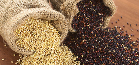 Amaranth - Chia - Quinoa - Kleine Nährstoffriesen