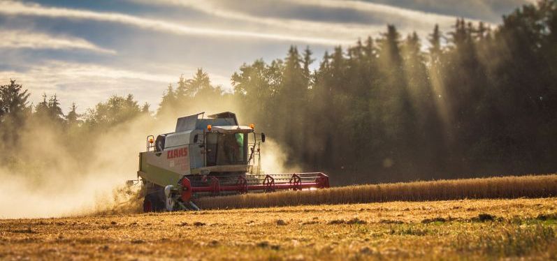 Lassen sich Biofelder vor Pestizidabdrift schützen?