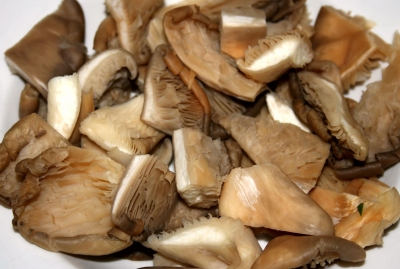 Adzukibohnen-Haferbraten mit Austernpilzen