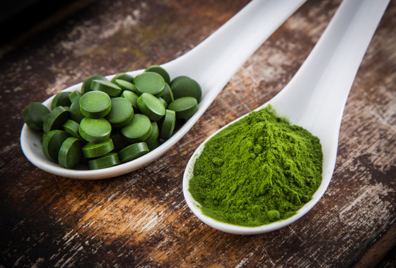 Wie gesund sind Chlorella-Algen?