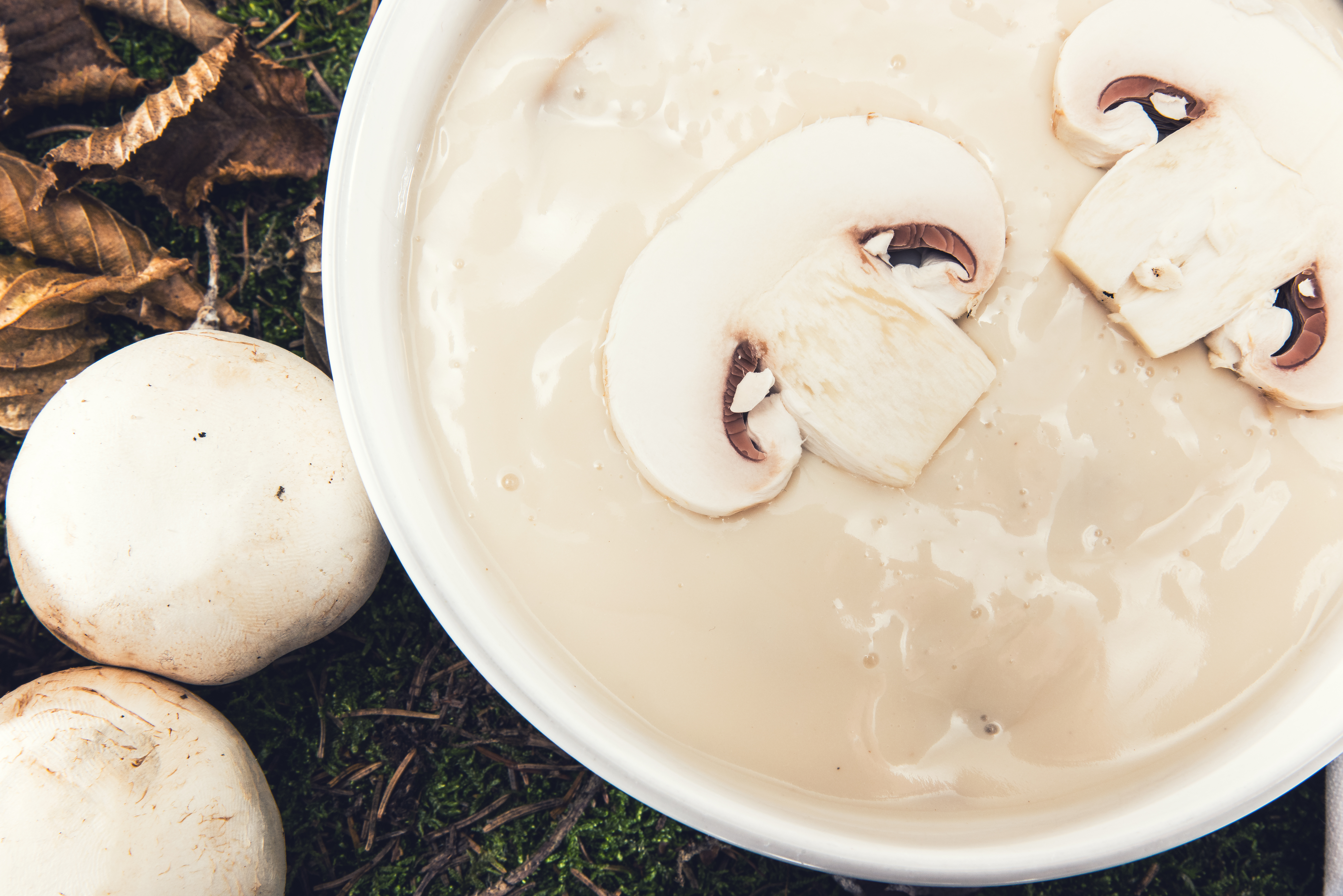 Feinsäuerliche Pilzsuppe