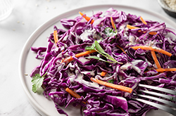 Vollwert-Rezepte: vollwertige Frischkost Rezepte, Rohkost