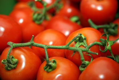 Gefüllte Tomaten vegetarisch