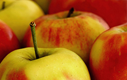 Apfel-Quark-Blooz