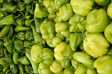 Kochen im August: Paprika-Möhren-Aufstrich 