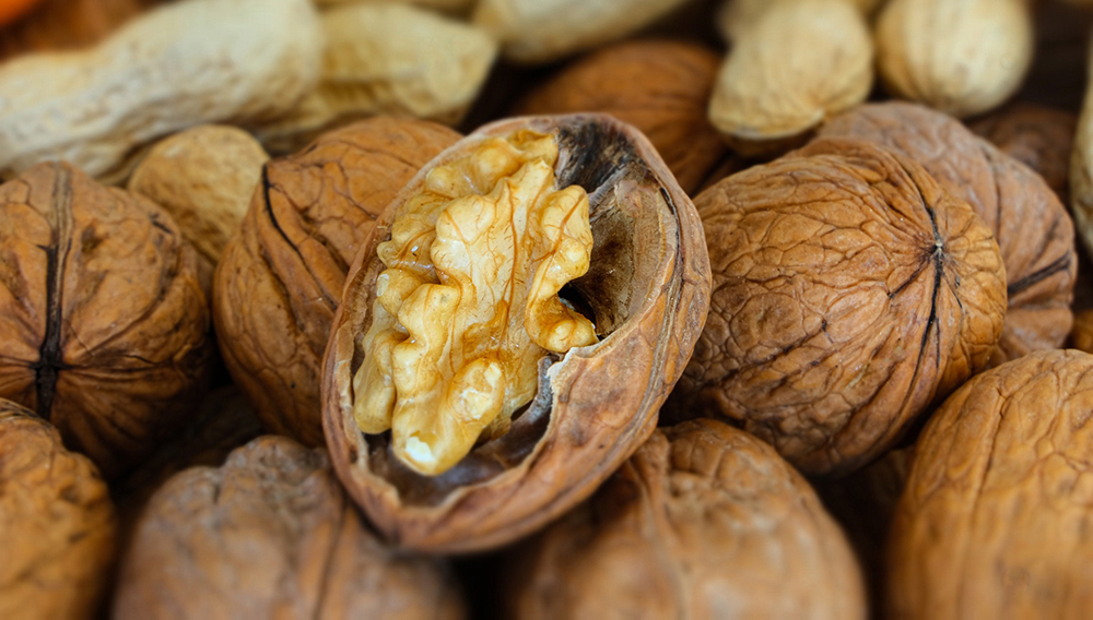 Nüsse und Saaten: Kernige Nährstoffpakete