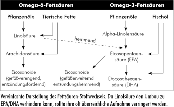 omega-3-fettsaeuren stoffwechsel