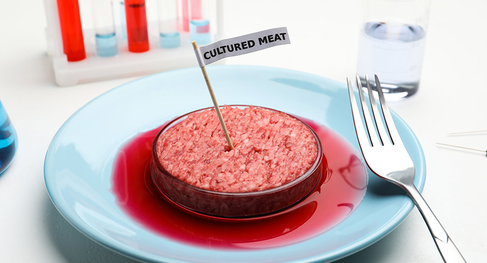 Laborfleisch: Klimafreundlich, gesund und ohne Tierleid?