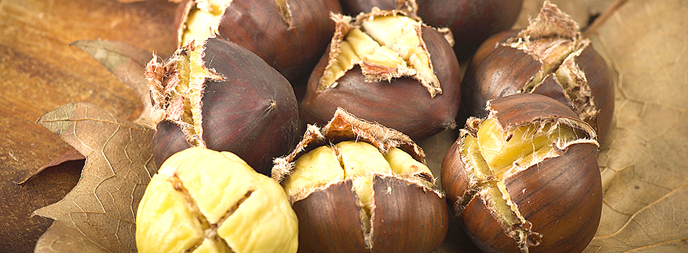 Maronen: Leckerei vom Baum