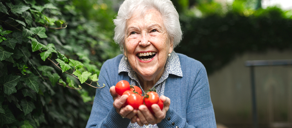 Mit pflanzlicher Kost gegen das Vergessen