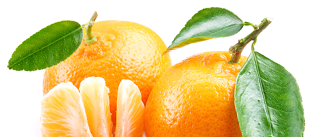 Mandarinen & Co. – Oranges für graue Tage