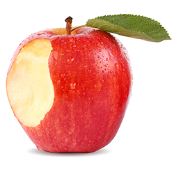 Gemüsemikrobiom und Darmgesundheit 