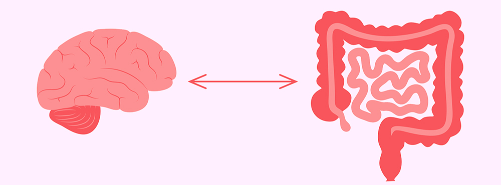 Beeinflussen Darmbakterien das Essverhalten?