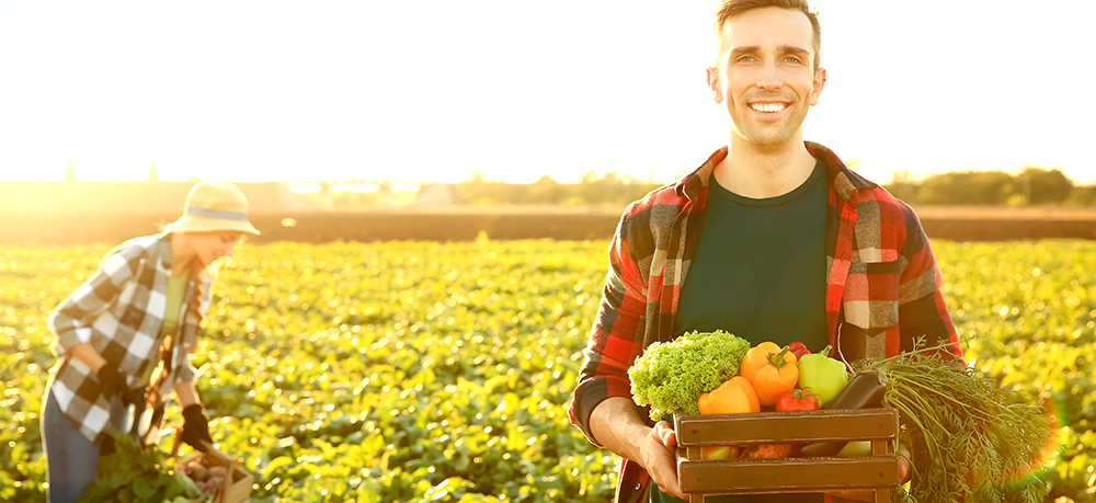 Transformation gewinnt