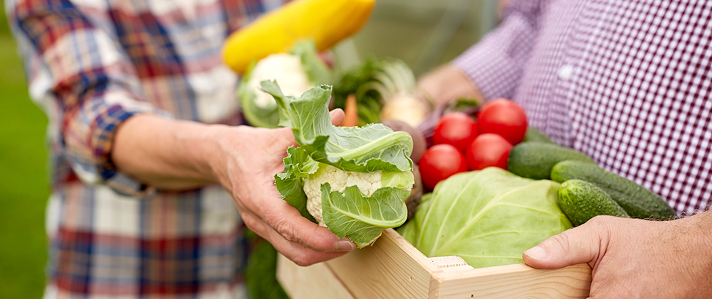 Für den Planeten besser pflanzlich