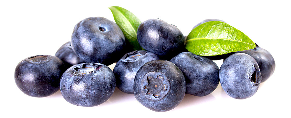 Erste Ernährungsleitlinie zu bioaktivem Stoff