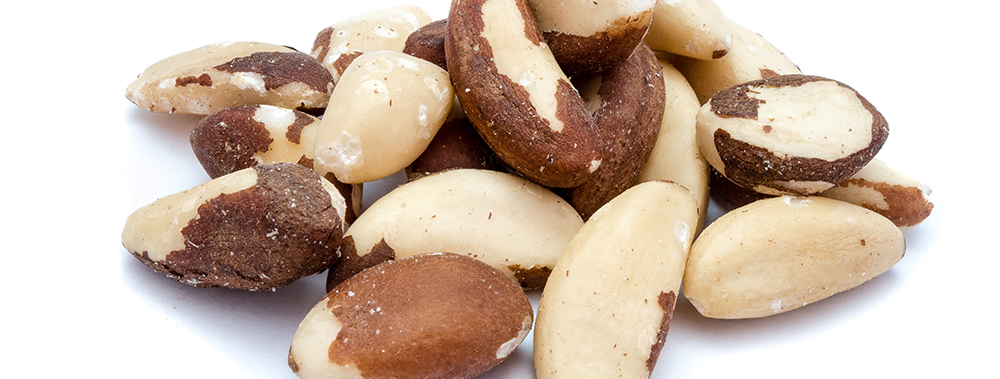 Paranüsse gegen oxidativen Stress