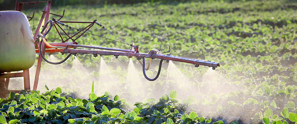 Pestizide ganzjährig nachweisbar